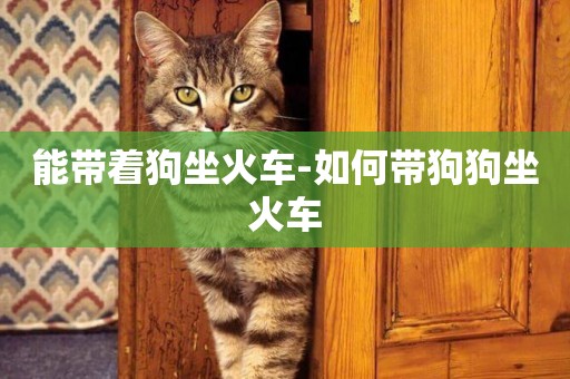 能帶著狗坐火車-如何帶狗狗坐火車
