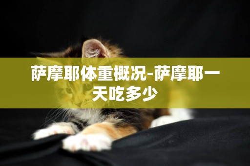 薩摩耶體重概況-薩摩耶一天吃多少