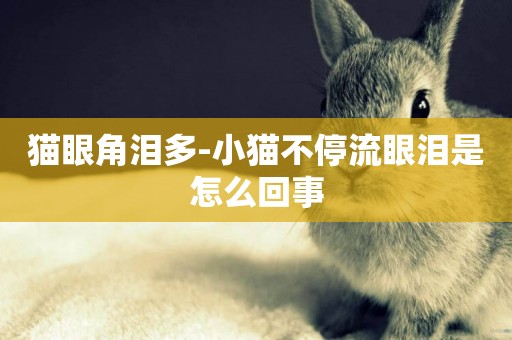 貓眼角淚多-小貓不停流眼淚是怎么回事