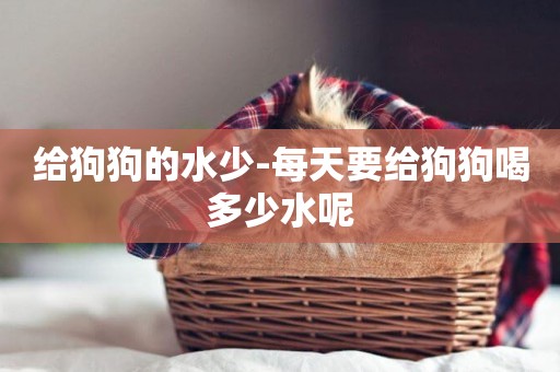 給狗狗的水少-每天要給狗狗喝多少水呢