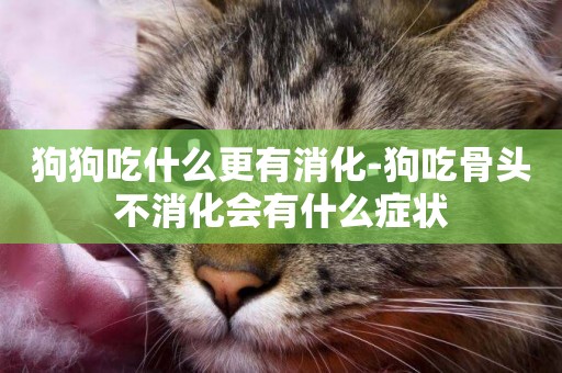 狗狗吃什么更有消化-狗吃骨頭不消化會有什么癥狀