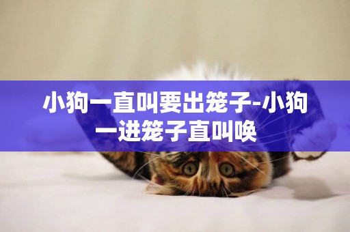 小狗一直叫要出籠子-小狗一進籠子直叫喚
