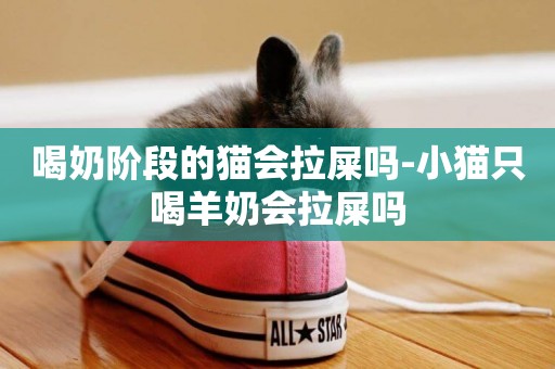 喝奶階段的貓會拉屎嗎-小貓只喝羊奶會拉屎嗎