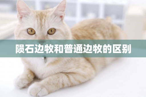 隕石邊牧和普通邊牧的區別