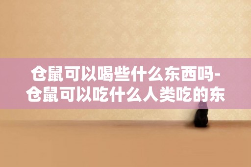 倉鼠可以喝些什么東西嗎-倉鼠可以吃什么人類吃的東西