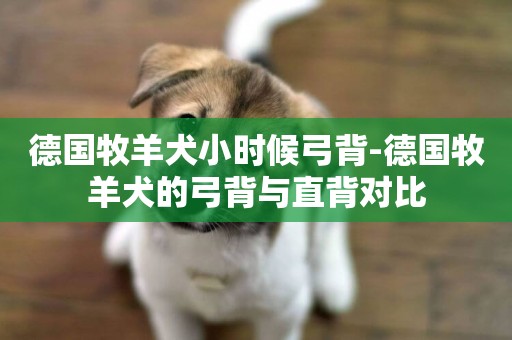 德國牧羊犬小時候弓背-德國牧羊犬的弓背與直背對比