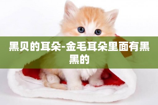 黑貝的耳朵-金毛耳朵里面有黑黑的