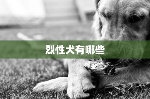 烈性犬有哪些