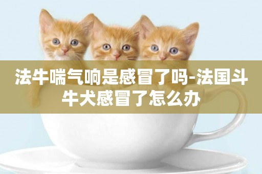 法牛喘氣響是感冒了嗎-法國斗牛犬感冒了怎么辦