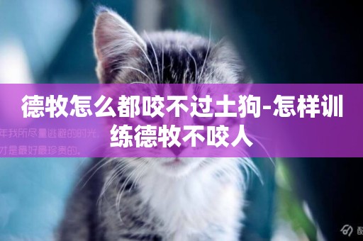 德牧怎么都咬不過土狗-怎樣訓練德牧不咬人