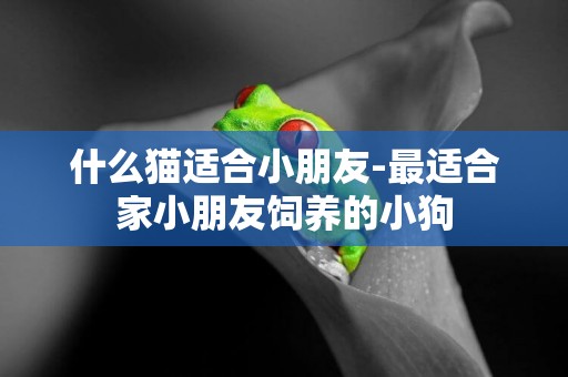 什么貓適合小朋友-最適合家小朋友飼養的小狗