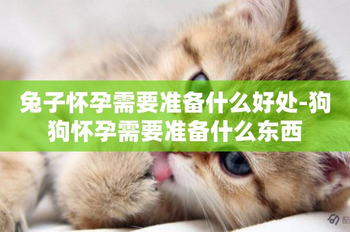 兔子懷孕需要準備什么好處-狗狗懷孕需要準備什么東西