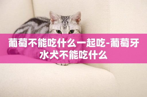 葡萄不能吃什么一起吃-葡萄牙水犬不能吃什么