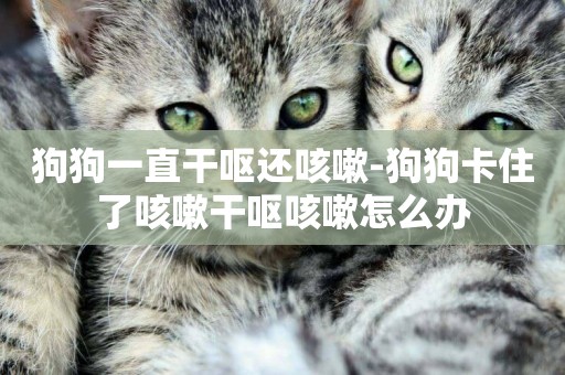 狗狗一直干嘔還咳嗽-狗狗卡住了咳嗽干嘔咳嗽怎么辦