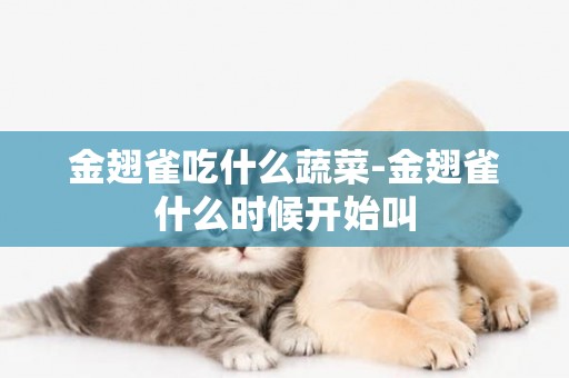 金翅雀吃什么蔬菜-金翅雀什么時候開始叫