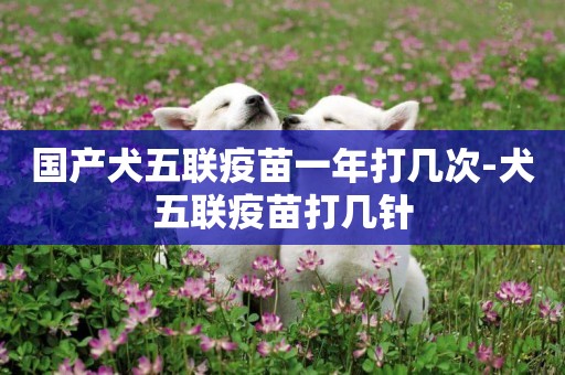 國產犬五聯疫苗一年打幾次-犬五聯疫苗打幾針