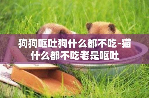 狗狗嘔吐狗什么都不吃-貓什么都不吃老是嘔吐