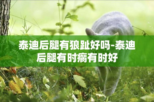 泰迪后腿有狼趾好嗎-泰迪后腿有時瘸有時好