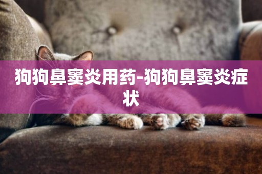 狗狗鼻竇炎用藥-狗狗鼻竇炎癥狀