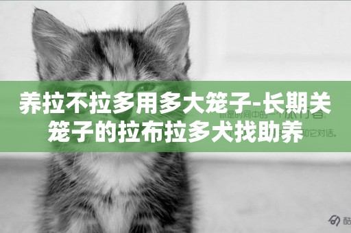 養拉不拉多用多大籠子-長期關籠子的拉布拉多犬找助養