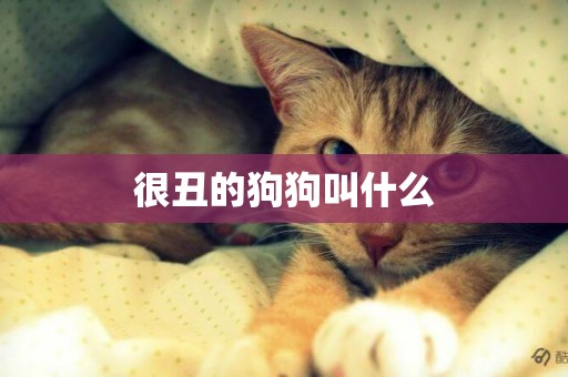 很丑的狗狗叫什么