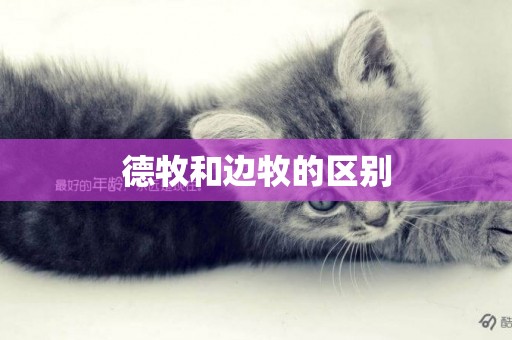 德牧和邊牧的區別