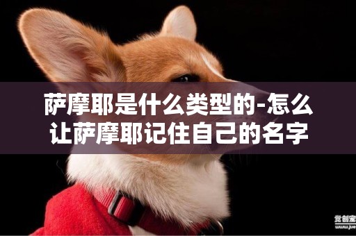 薩摩耶是什么類型的-怎么讓薩摩耶記住自己的名字