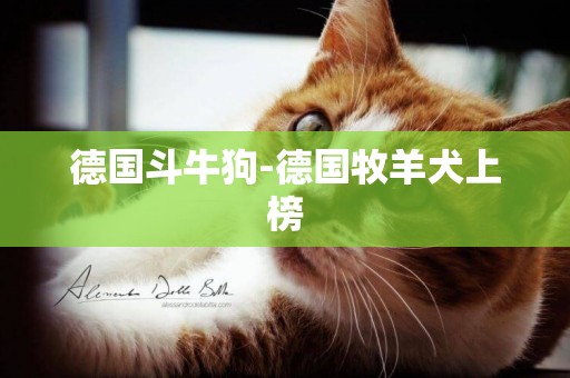 德國斗牛狗-德國牧羊犬上榜