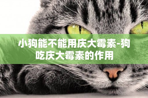 小狗能不能用慶大霉素-狗吃慶大霉素的作用