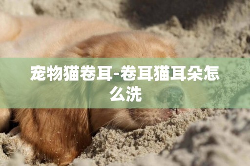 寵物貓卷耳-卷耳貓耳朵怎么洗