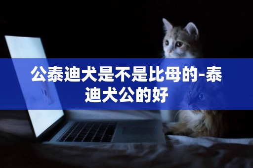 公泰迪犬是不是比母的-泰迪犬公的好