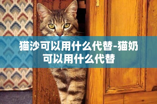 貓沙可以用什么代替-貓奶可以用什么代替
