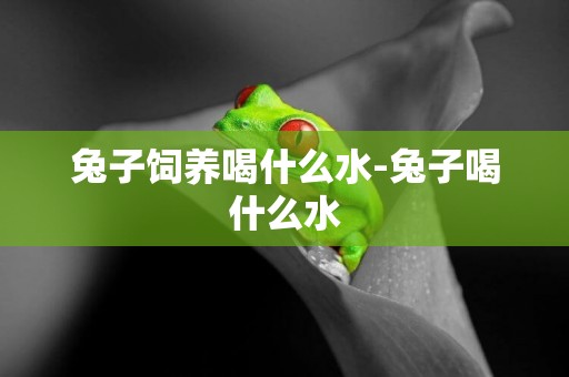 兔子飼養喝什么水-兔子喝什么水