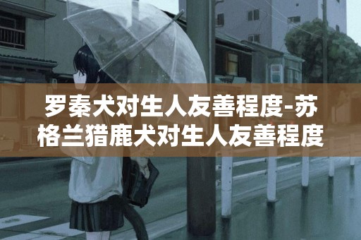 羅秦犬對生人友善程度-蘇格蘭獵鹿犬對生人友善程度