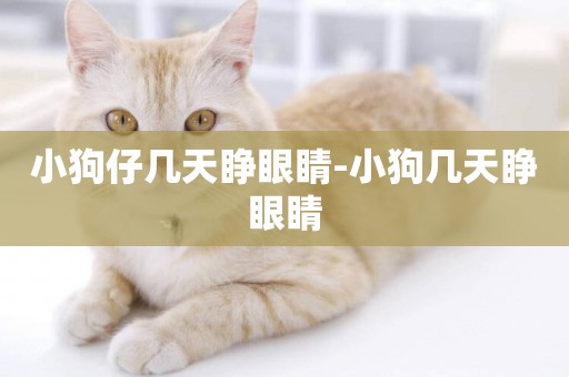 小狗仔幾天睜眼睛-小狗幾天睜眼睛