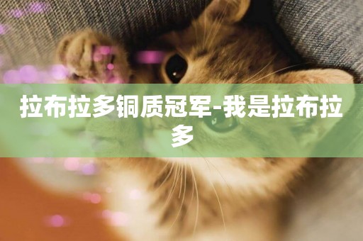 拉布拉多銅質冠軍-我是拉布拉多