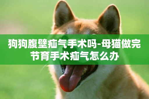 狗狗腹壁疝氣手術嗎-母貓做完節育手術疝氣怎么辦