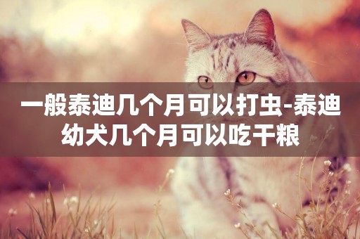一般泰迪幾個月可以打蟲-泰迪幼犬幾個月可以吃干糧
