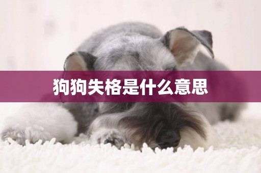 狗狗失格是什么意思
