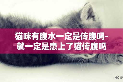 貓咪有腹水一定是傳腹嗎-就一定是患上了貓傳腹嗎