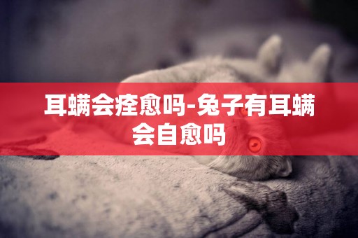 耳螨會痊愈嗎-兔子有耳螨會自愈嗎
