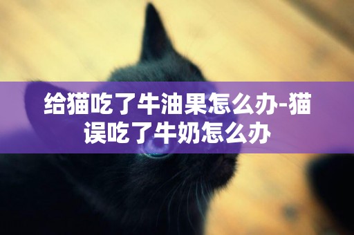 給貓吃了牛油果怎么辦-貓誤吃了牛奶怎么辦