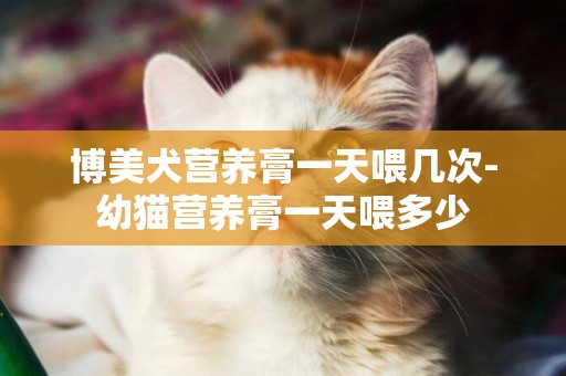博美犬營養膏一天喂幾次-幼貓營養膏一天喂多少