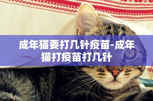 成年貓要打幾針疫苗-成年貓打疫苗打幾針
