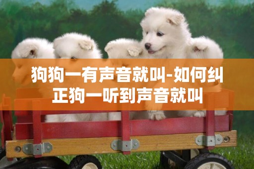 狗狗一有聲音就叫-如何糾正狗一聽到聲音就叫