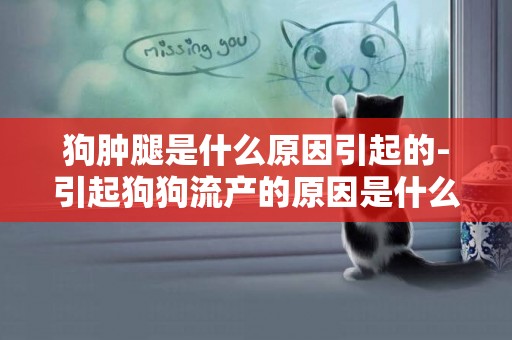狗腫腿是什么原因引起的-引起狗狗流產的原因是什么