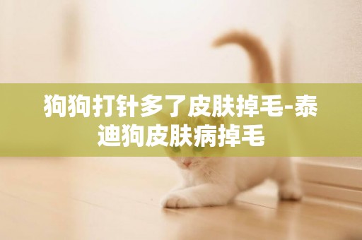 狗狗打針多了皮膚掉毛-泰迪狗皮膚病掉毛