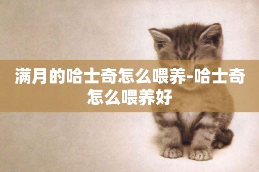 滿月的哈士奇怎么喂養-哈士奇怎么喂養好