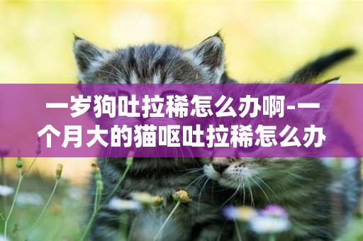 一歲狗吐拉稀怎么辦啊-一個月大的貓嘔吐拉稀怎么辦吃什么藥