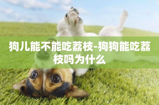 狗兒能不能吃荔枝-狗狗能吃荔枝嗎為什么